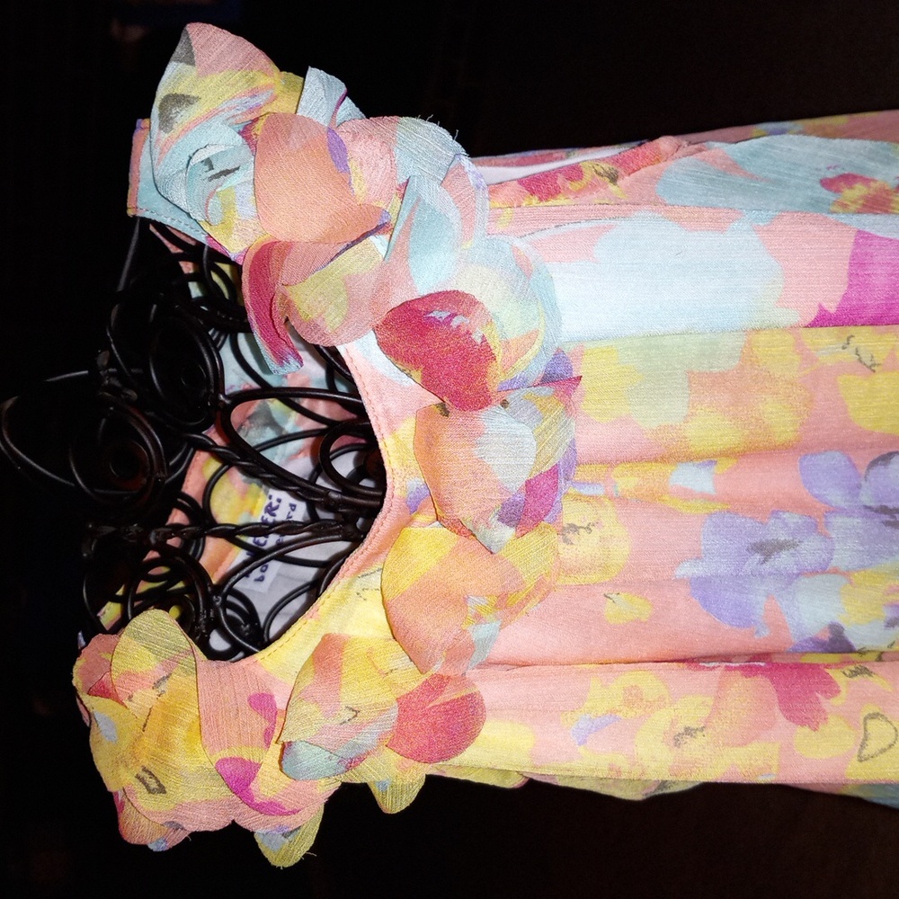BLUEBERi BLVD. Chiffon Dress, 6, CAN BE $13. w/$4.99 shipping! - Picture 3 of 10